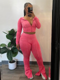 Washed Hooded Zipper Flared Pants Two Piece Set CH-24063