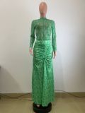 Mesh Long Sleeve Tops And Long Skirts Two Piece Set QODY-6050