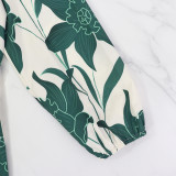 Fashion Print Long Sleeve V Neck Maxi Dress GYLY-10559