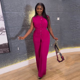 Sleeveless Lace-Up Top Wide Leg Pants Set GCNE-7418