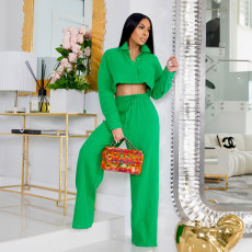Solid Color Short Shirt And Pants Two Piece Set GCNE-6104