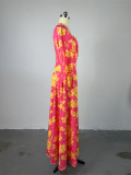 Long Sleeve Print Long Sleeve Maxi Dress GCNE-7258