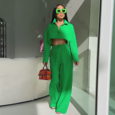 Solid Color Short Shirt And Pants Two Piece Set GCNE-6104