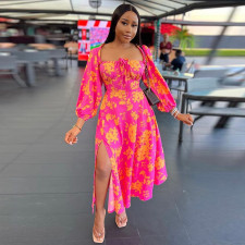 Long Sleeve Print Long Sleeve Maxi Dress GCNE-7258