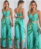 Print V Neck Vest And Wide Leg Pants 2 Piece Set GCNE-8505
