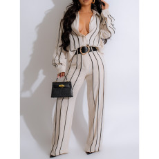 Stripe Long Sleeve Shirt And Pants 2 Piece Suit AIL-289