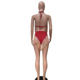 Solid Color Sexy Tie Bikini Tassel 2 Piece Swimsuit SMD-2502
