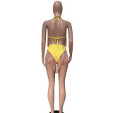 Solid Color Sexy Tie Bikini Tassel 2 Piece Swimsuit SMD-2502