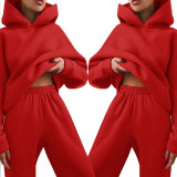 Long Sleeve Solid Hooded Two Piece Pants Set GRST-21660