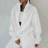 Zipper Sweater Fleece Sweatshirt Pants 2 Piece Set GRST-8786