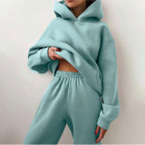 Long Sleeve Solid Hooded Two Piece Pants Set GRST-21660