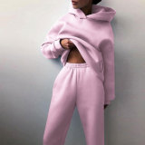 Long Sleeve Solid Hooded Two Piece Pants Set GRST-21660