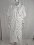 Plus Size Lapel Neck Print Shirt Dress GRST-8651-22037