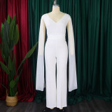 Plus Size V-neck Top Wide Leg Pants 2 Piece Set GCZF-8561