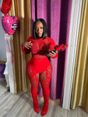 Pre Order: About 7 work days shipping Erotic Hollow Out Lingerie Sexy Mesh Set YUEM-330100