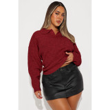 Fashion Lapel Solid Color Long Sleeve Knits Sweater ASL-6762