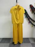 Plus Size Satin Tied Fly Sleeve Wide Leg Two Piece Set NY-10920