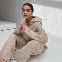 Fashion Sport Hooded Sweatshirt Two Piece Pants Set YMZY-1930