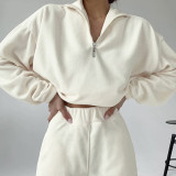 Casual Zipper Long Sleeve Two Piece Pants Set YMZY-1964