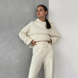 Fashion Sport Hooded Sweatshirt Two Piece Pants Set YMZY-1930