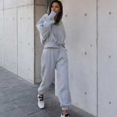 Hooded Sweatshirt Coat Pants Solid 2 Piece Set YMZY-1939