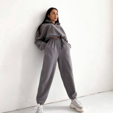 Casual Loose Zipper Sweatshirt Pants Suit YMZY-5972