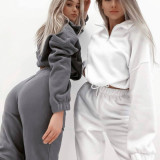 Casual Loose Zipper Sweatshirt Pants Suit YMZY-5972