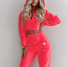 Solid Color Hooded Long Sleeve Pants 2 Piece Set YMZY-1046