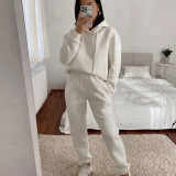 Casual Hooded Long Sleeve Sweatshirt Solid Color Sports Set YMZY-6502