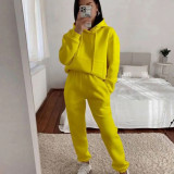 Casual Hooded Long Sleeve Sweatshirt Solid Color Sports Set YMZY-6502