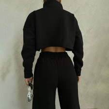 Zipper Long Sleeve Sweatshirt Two Piece Pants Set YMZY-1045
