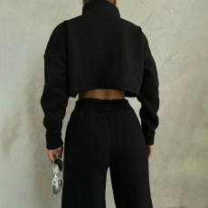 Zipper Long Sleeve Sweatshirt Two Piece Pants Set YMZY-1045