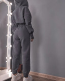 Solid Color Sport Zipper Hooded Two Piece Pants Set YMZY-11203