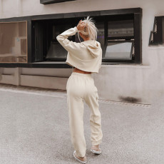 Sport Hooded Long Sleeve Casual Two Piece Pants Set YMZY-8033