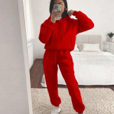 Casual Hooded Long Sleeve Sweatshirt Solid Color Sports Set YMZY-6502