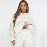 Solid Color Hooded Sweatshirt Two Piece Pants Set YMZY-11905