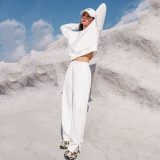 Solid Color Long Sleeve Sweatshirt Pants 2 Piece Set YMZY-12911