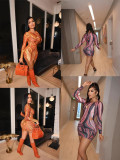 Fashion Print Long Sleeve Slim Mini Dress HMS-6495
