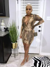 Long Sleeve Leopard Print Mini Dress HMS-6522