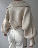 Fashion Long Sleeve Knits Lapel Sweater YMZY-21138