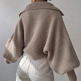 Fashion Long Sleeve Knits Lapel Sweater YMZY-21138