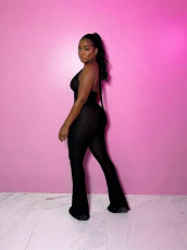 Pre Order: About 7 work days shipping Hollow Out Lace See Through Jumpsuit YUEM-50005