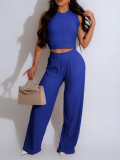 Solid Color Sleeveless Tops And Pants 2 Piece Set AIL-290