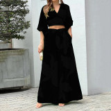 Plus Size V-Neck Lantern Sleeve Crop Top Wide Leg Pants Set GHHE-86478