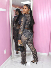 Pre Order: About 7 work days shipping Leopard Print Long Sleeve Pants 2 Piece Set YUEM-500601