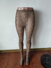 Pre Order: About 7 work days shipping Leopard Print Yoga Pants Sport Bottoms YUEM-500600