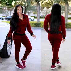 Long Sleeve Hooded Coat Sport 2 Piece Pants Set TE-4718