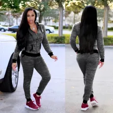Long Sleeve Hooded Coat Sport 2 Piece Pants Set TE-4718