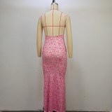 Sexy Backless Floral Print Sling Maxi Dress  GPBY-22018