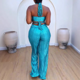 Plus Size Pleated Halter Backless Hollow Out 2 Piece Set NY-3330